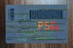 back of az drivers license