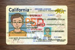 california drivers license template