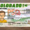 colorado drivers license template