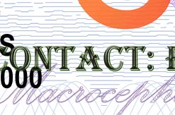Connecticut Drivers License Template New V1 1200 DPI connecticut driver license real id