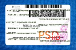 Connecticut Drivers License Template New V1 1200 DPI back of connecticut drivers license