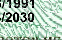 georgia driver's license blank template