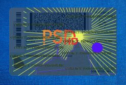 back of ga drivers license