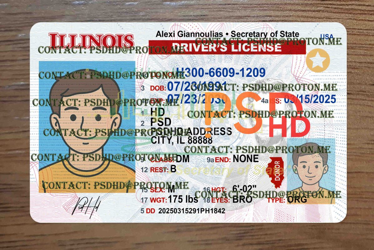 illinois drivers license template