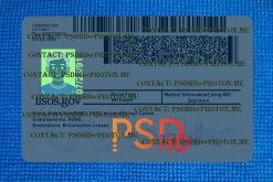 back illinois drivers license