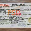 indiana drivers license template
