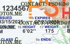 Fake Maine Drivers License New V2 1200 DPI Maine Driver License Template
