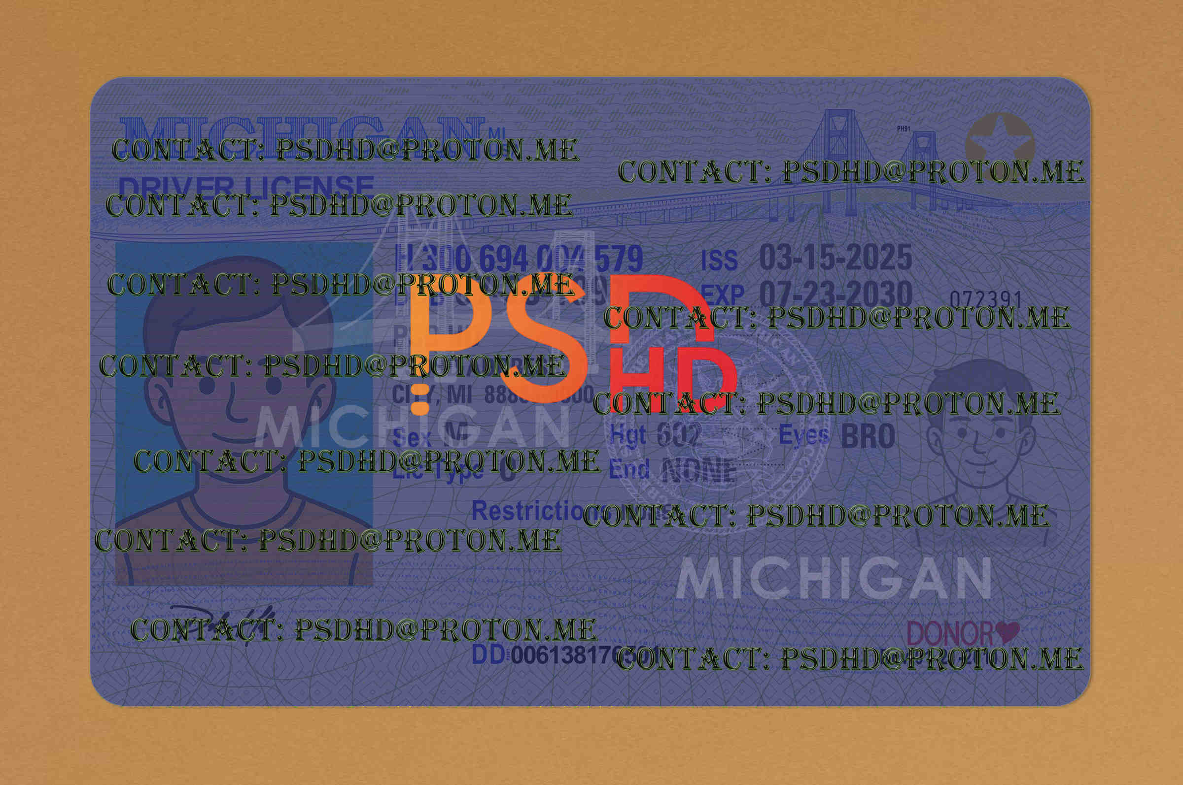 Fake Michigan Drivers License New V2 1200 DPI blank michigan drivers license