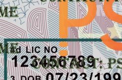 Fake Mississippi Drivers License New V2 1200 DPI mississippi drivers license psd