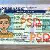 fake nebraska drivers license