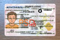 PSDHD – Editable PSD Templates (Driver License, Passport, ID Card) kentucky drivers license template