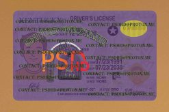 fake kentucky drivers license