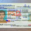 Michigan Enhanced Drivers License Template