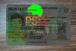 fake montana driver license