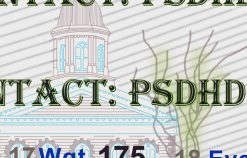 Fake Nevada Drivers License New V2 1200 DPI nevada driving licence psd