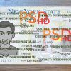 fake new york drivers license