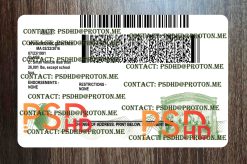Massachusetts Drivers License Template New V1 1200 DPI back of massachusetts drivers license