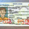 nevada drivers license template