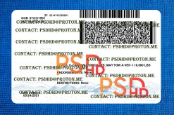 back of nevada drivers license