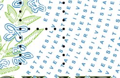 nevada driving licence psd