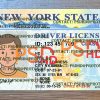 New York Driver License Template V3 1200 DPI new york driver license template
