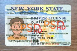 new york driver license template