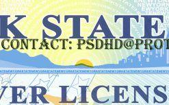 new york id template download