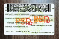 back of ny drivers license