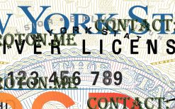 temporary drivers license new york