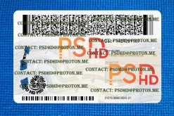 back of new york drivers license