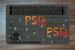 back new york drivers license