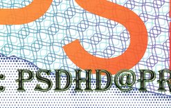 back of or drivers license