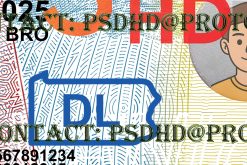 Pennsylvania Drivers License Template New V1 2400 DPI pennsylvania drivers license psd