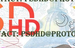 blank south carolina drivers license template