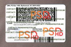 back of south carolina drivers license