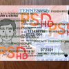 tennessee drivers license template