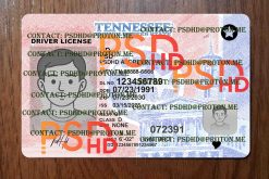 tennessee drivers license template