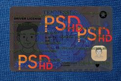 fake tennessee driver license