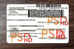 Tennessee Drivers License Template – High Resolution Editable PSD (2400 DPI) back of tennessee drivers license