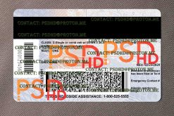 Fake Texas Driver License – UV Security Design PSD 2400 DPI back of texas driver license