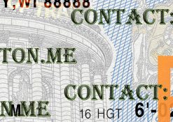 editable wisconsin drivers license template