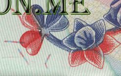 UK Passport Photoshop