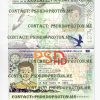 United Kingdom Passport Template
