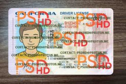 CA drivers license template