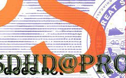 back of california driver license